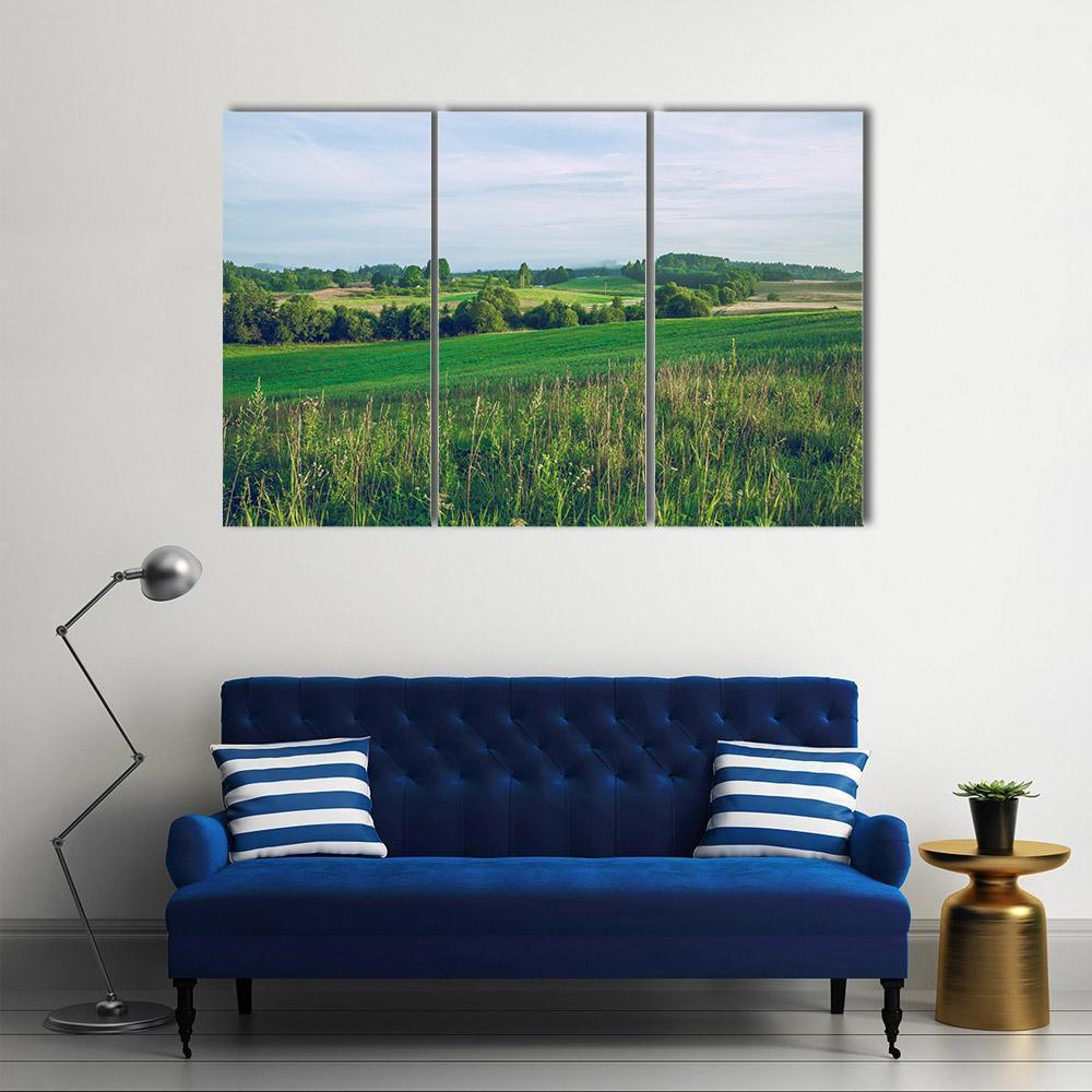 Meadow In Summer Canvas Wall Art-3 Horizontal-Gallery Wrap-37" x 24"-Tiaracle