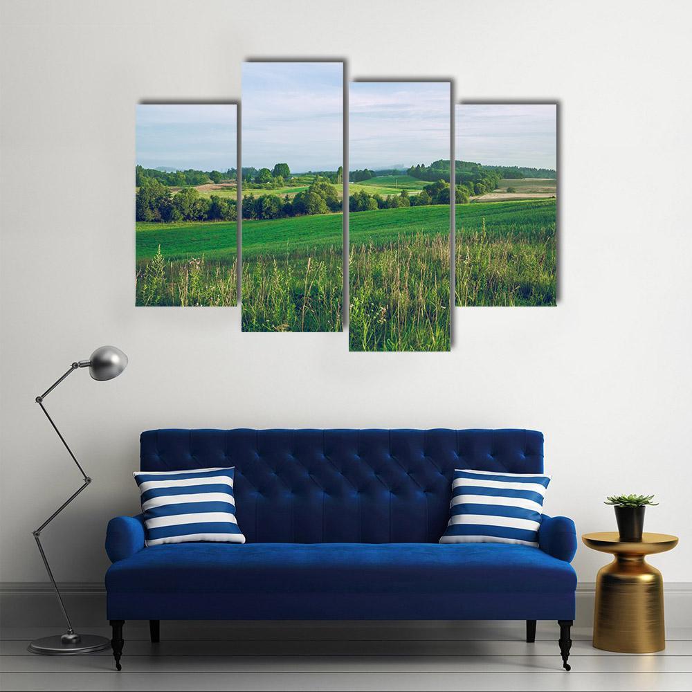 Meadow In Summer Canvas Wall Art-4 Pop-Gallery Wrap-50" x 32"-Tiaracle
