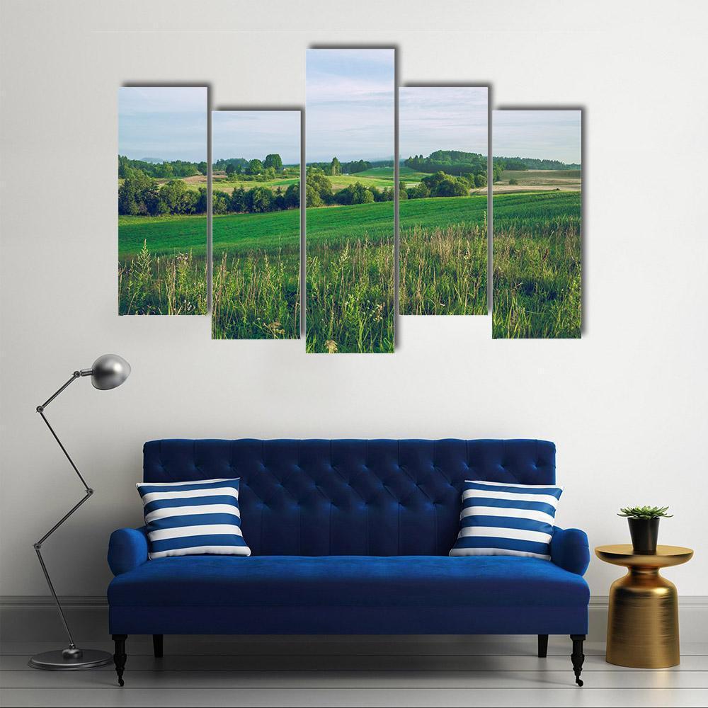 Meadow In Summer Canvas Wall Art-5 Pop-Gallery Wrap-47" x 32"-Tiaracle