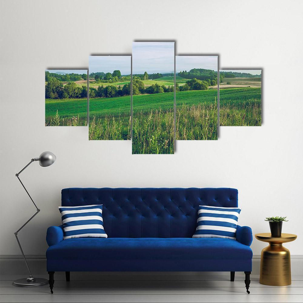 Meadow In Summer Canvas Wall Art-5 Star-Gallery Wrap-62" x 32"-Tiaracle