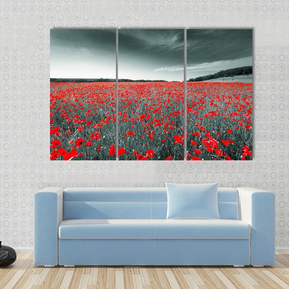 Meadow With Red Poppies Canvas Wall Art-4 Pop-Gallery Wrap-50" x 32"-Tiaracle