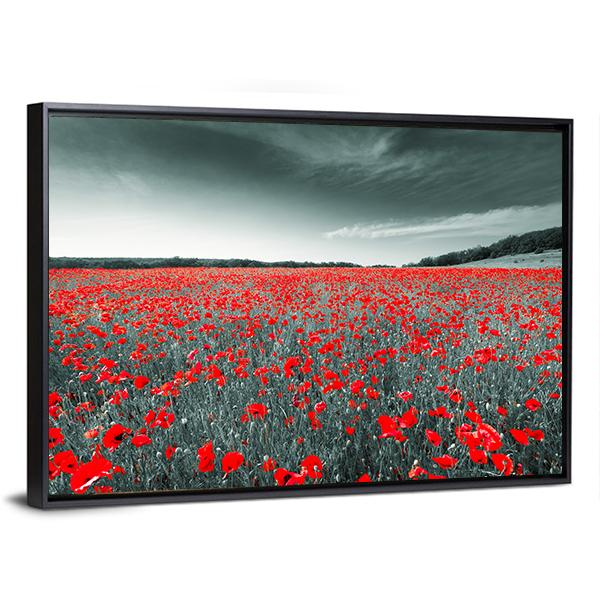 Meadow With Red Poppies Canvas Wall Art-3 Horizontal-Gallery Wrap-25" x 16"-Tiaracle