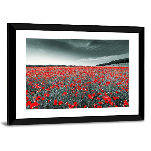 Meadow With Red Poppies Canvas Wall Art-3 Horizontal-Gallery Wrap-25" x 16"-Tiaracle