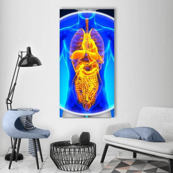 X-ray Scan of Internal Organs Vertical Canvas Wall Art in orange, yellow and blue, single vertical panel hung on a wall