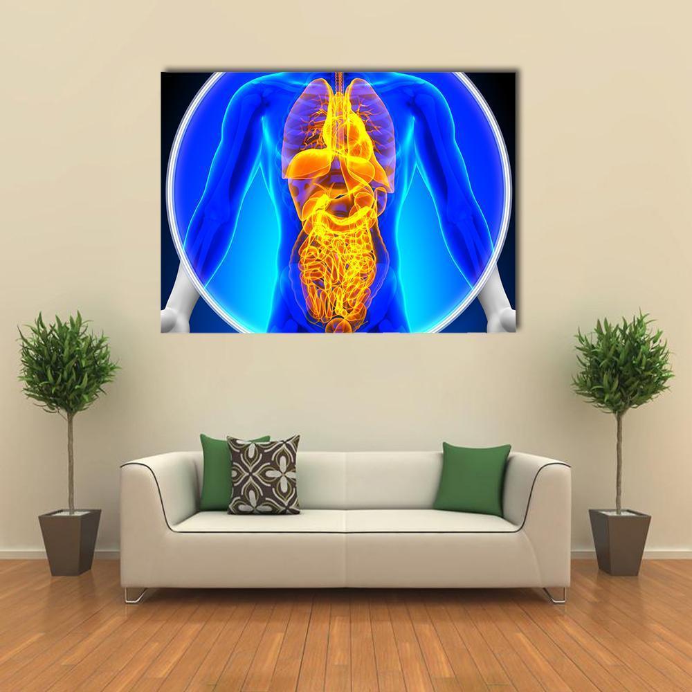 X-Ray Scan Of Organs Canvas Wall Art-1 Piece-Gallery Wrap-48" x 32"-Tiaracle
