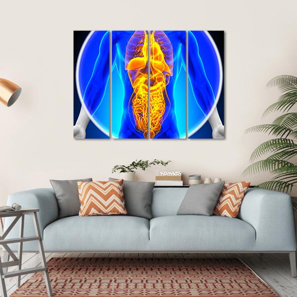 X-Ray Scan Of Organs Canvas Wall Art-4 Horizontal-Gallery Wrap-34" x 24"-Tiaracle