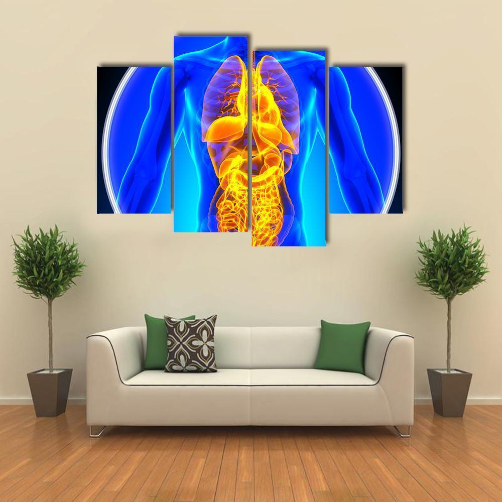 X-Ray Scan Of Organs Canvas Wall Art-4 Pop-Gallery Wrap-50" x 32"-Tiaracle
