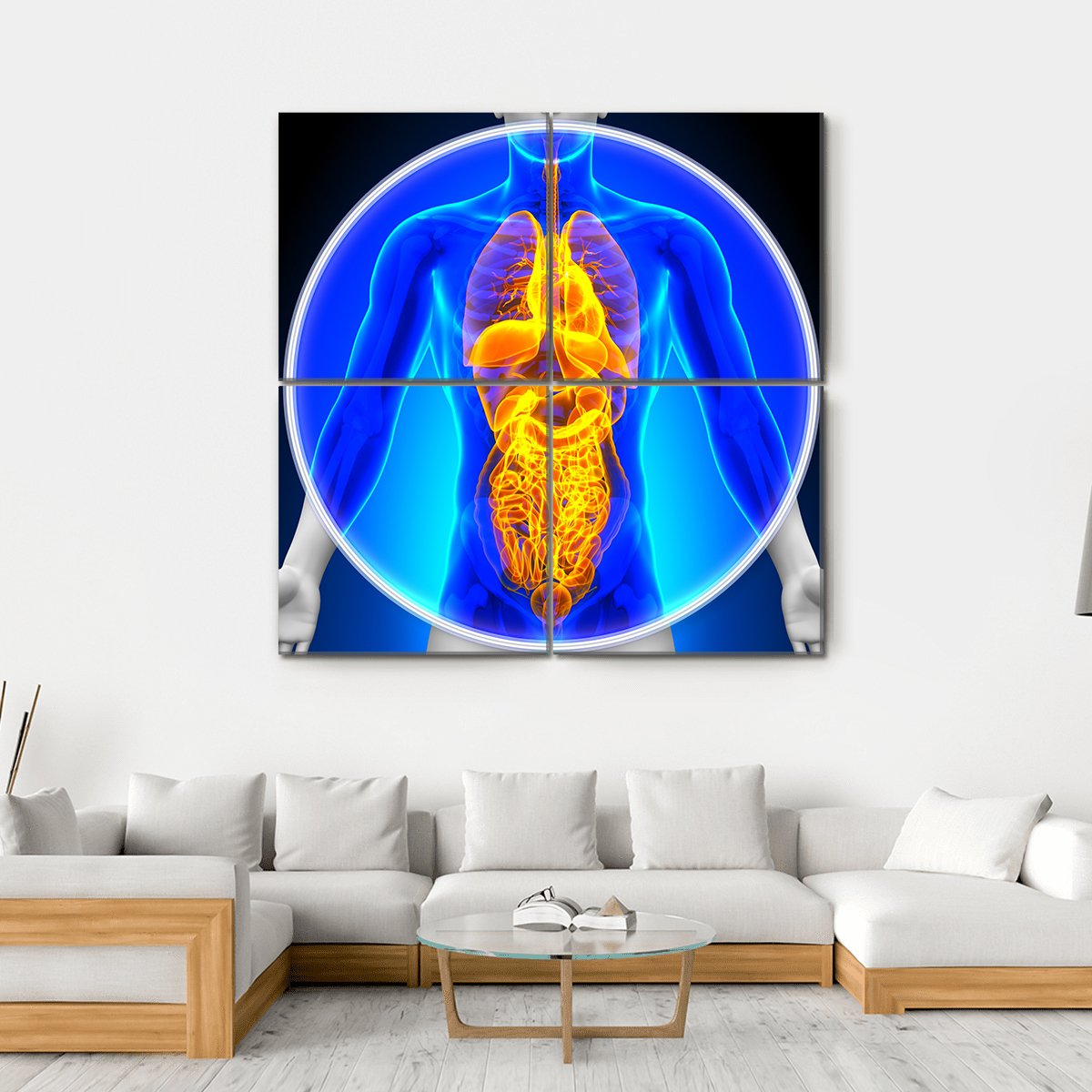 X-Ray Scan Of Organs Canvas Wall Art-4 Square-Gallery Wrap-17" x 17"-Tiaracle