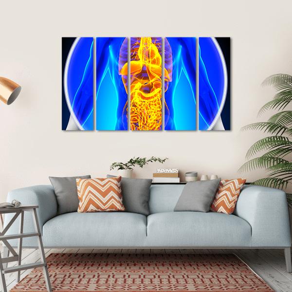 X-Ray Scan Of Organs Canvas Wall Art-5 Horizontal-Gallery Wrap-22" x 12"-Tiaracle