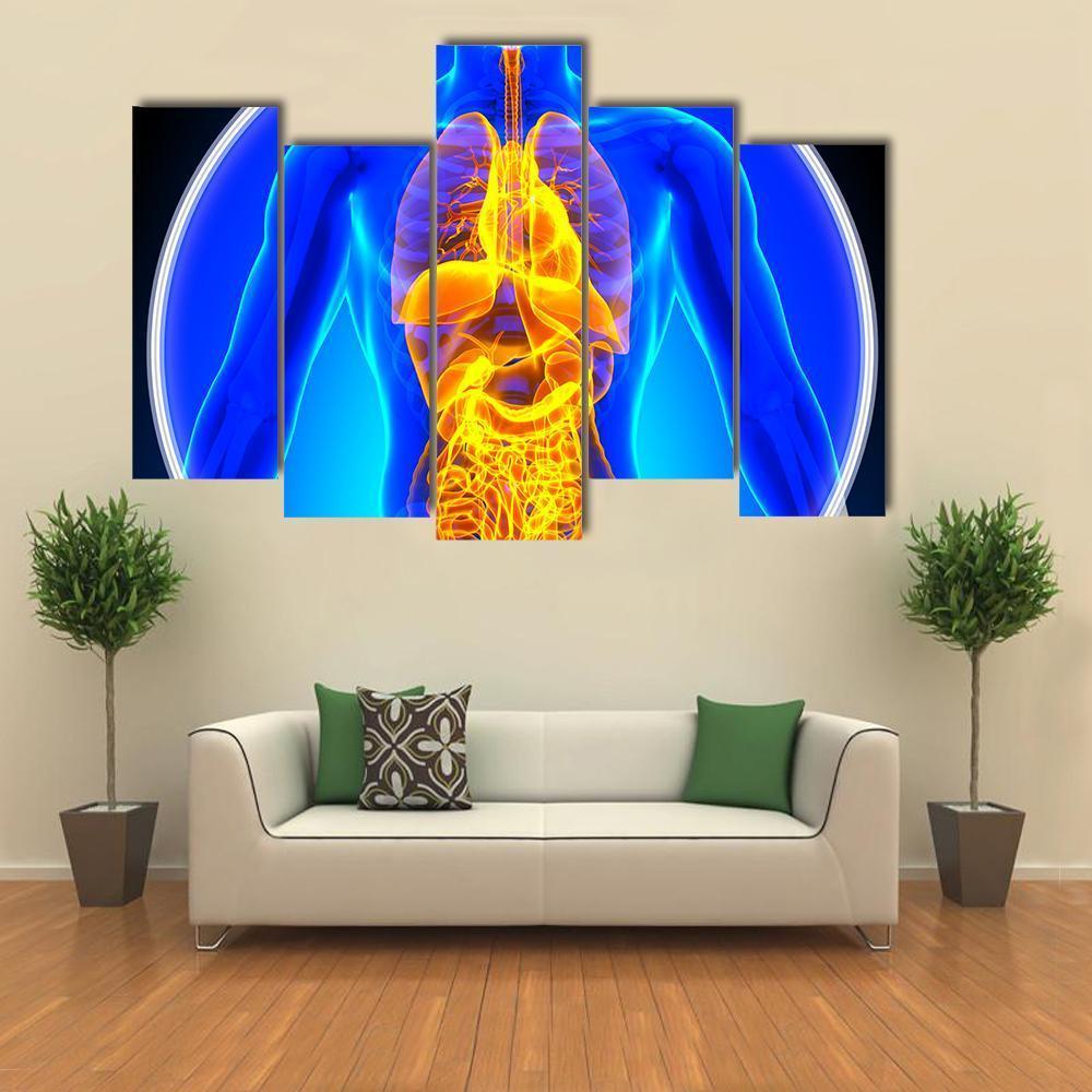 X-Ray Scan Of Organs Canvas Wall Art-1 Piece-Gallery Wrap-48" x 32"-Tiaracle