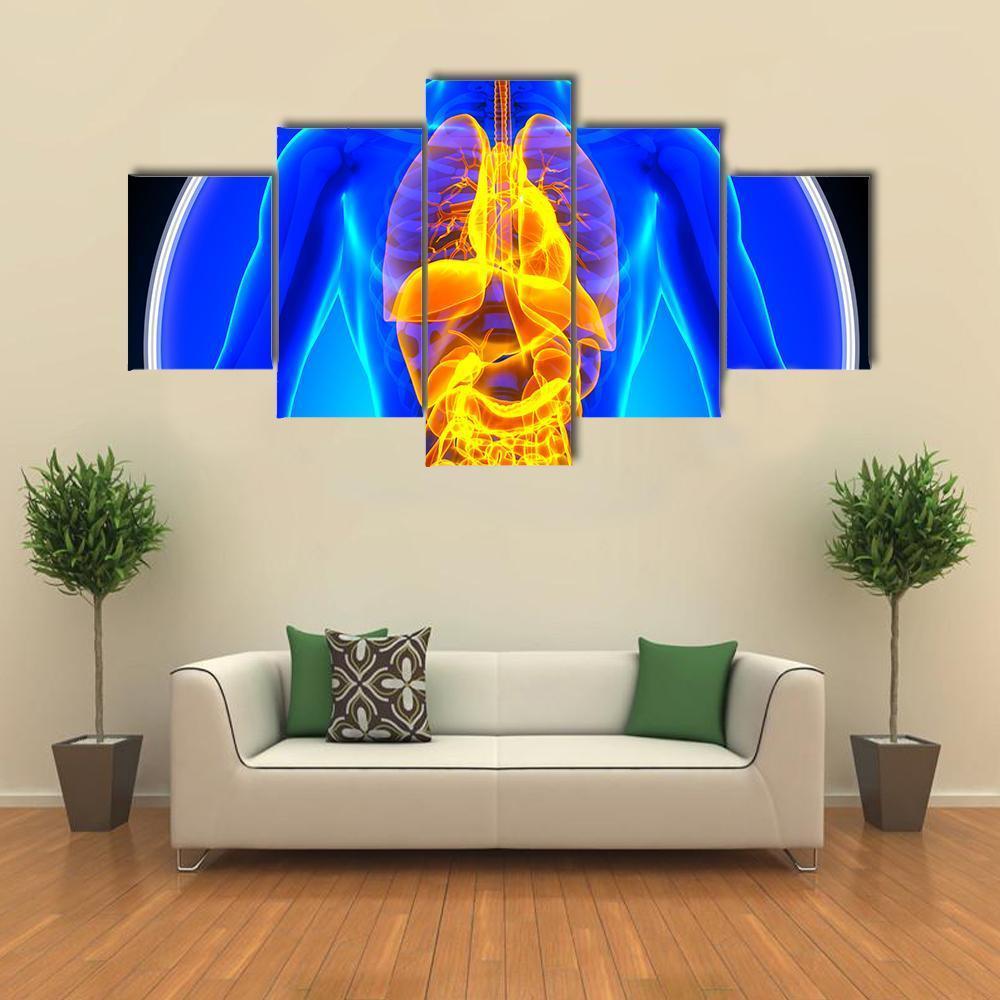 X-Ray Scan Of Organs Canvas Wall Art-5 Star-Gallery Wrap-62" x 32"-Tiaracle