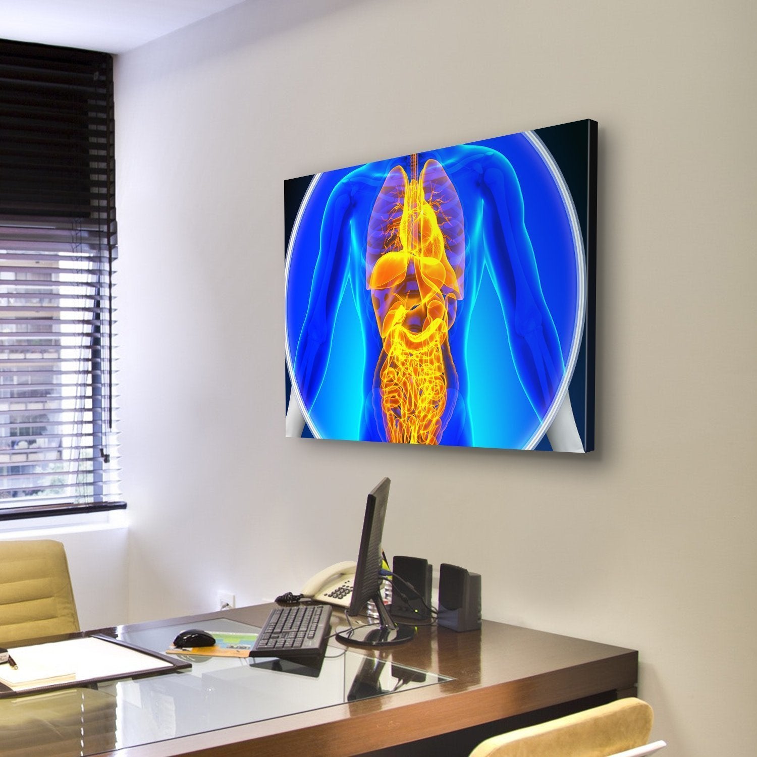 X-Ray Scan Of Organs Canvas Wall Art-3 Horizontal-Gallery Wrap-25" x 16"-Tiaracle