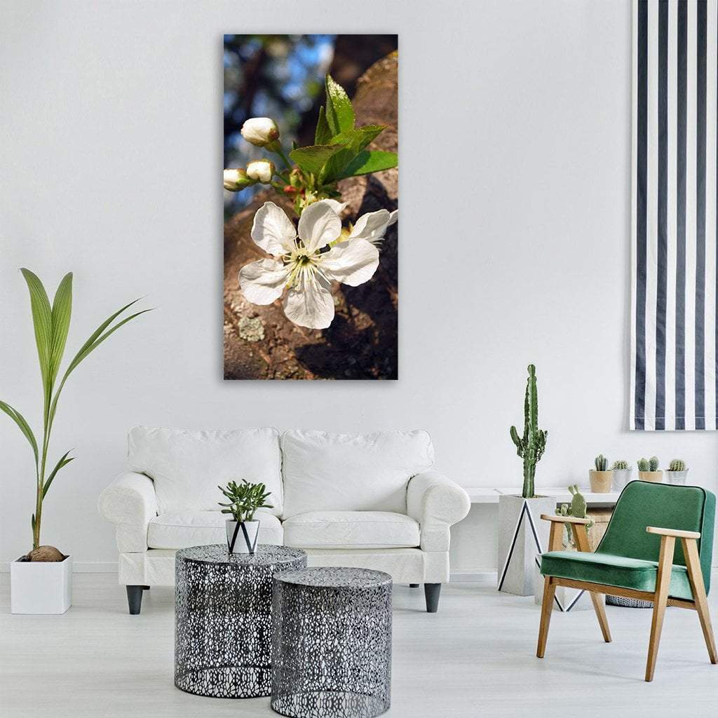 Meggyvirag Flower Vertical Canvas Wall Art-3 Vertical-Gallery Wrap-12" x 25"-Tiaracle