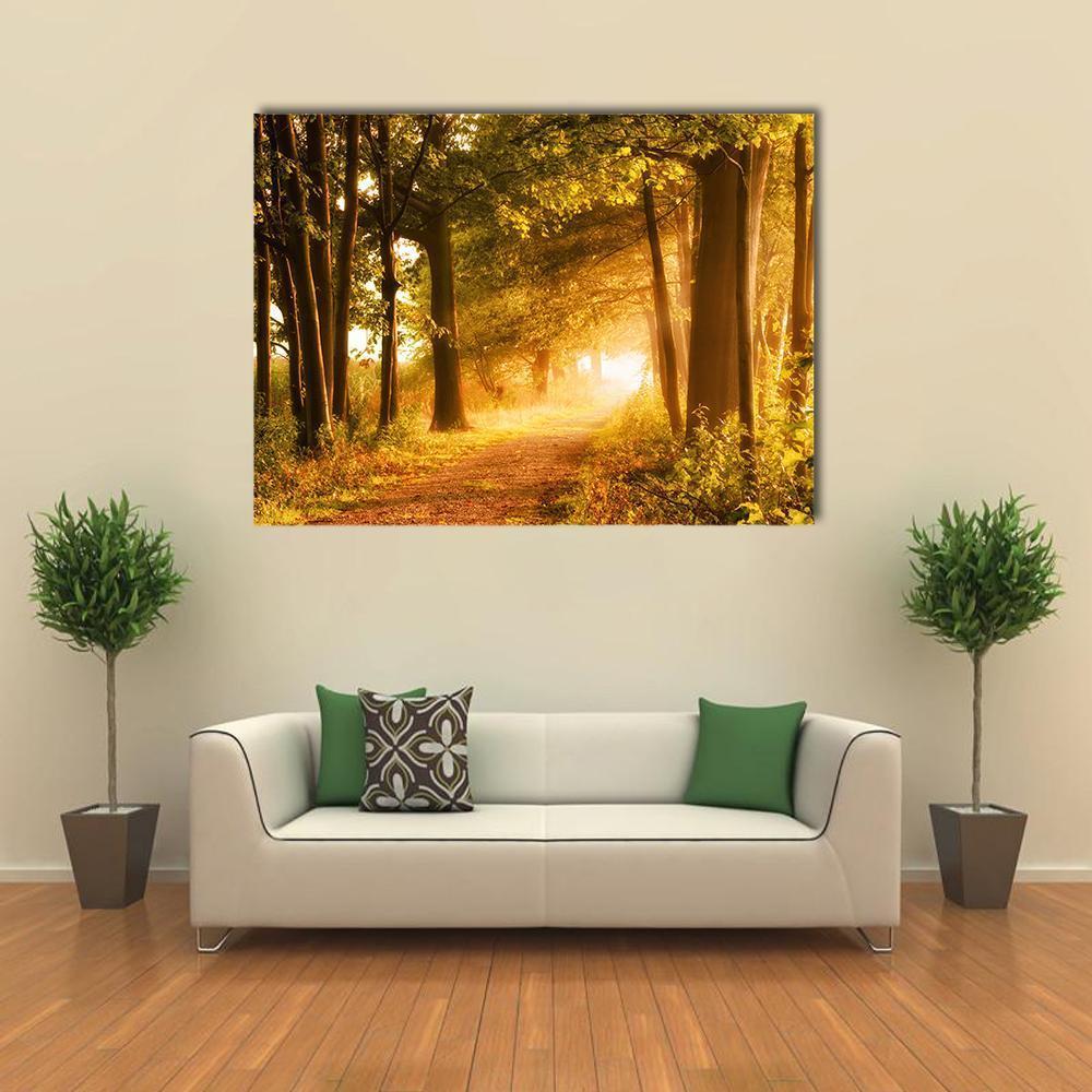 Misty Footpath in Autumn Forest Canvas Wall Art in brown, yellow and green, single panel hung on a wall