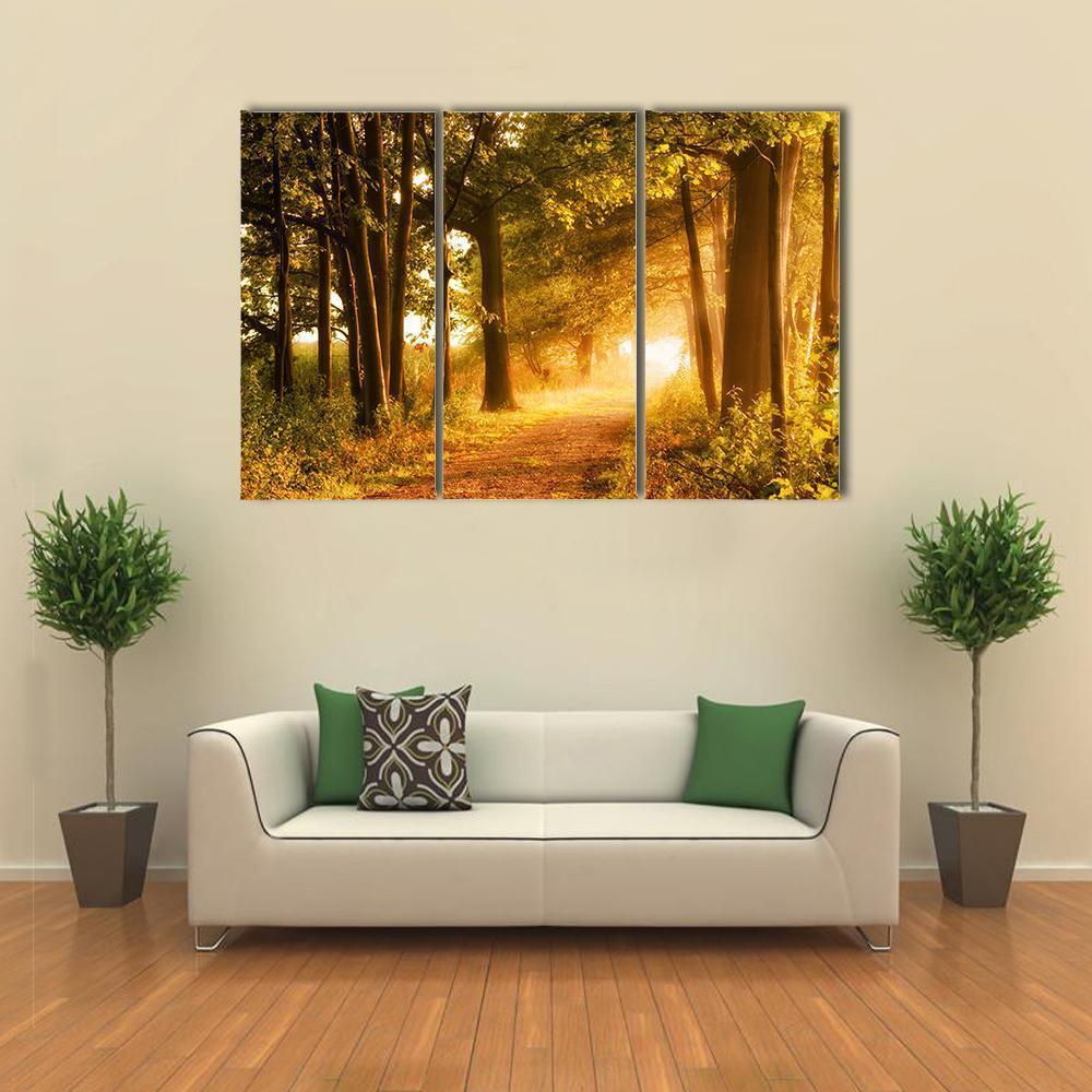 Misty Footpath In Forest Canvas Wall Art-3 Horizontal-Gallery Wrap-37" x 24"-Tiaracle