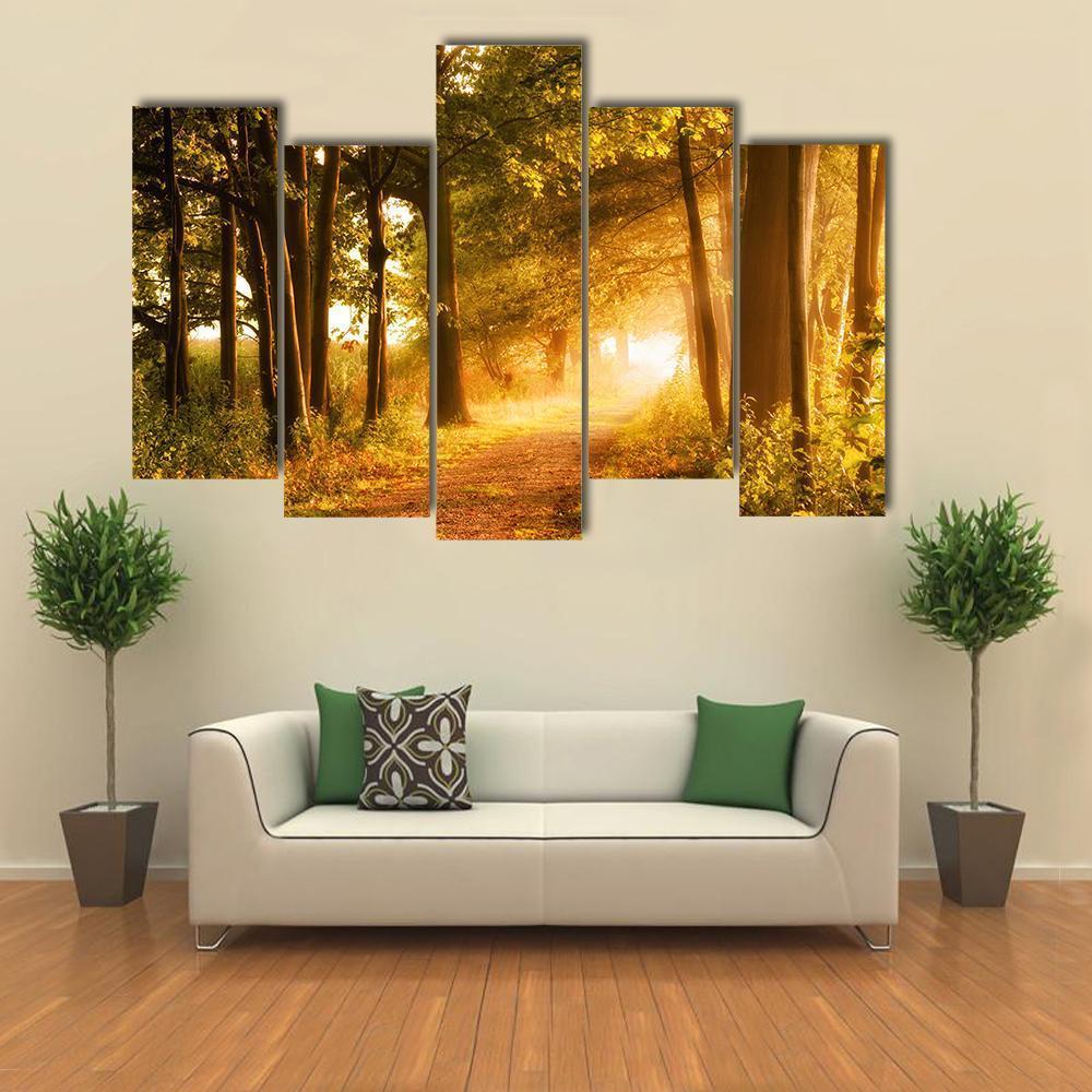 Misty Footpath In Forest Canvas Wall Art-5 Pop-Gallery Wrap-47" x 32"-Tiaracle
