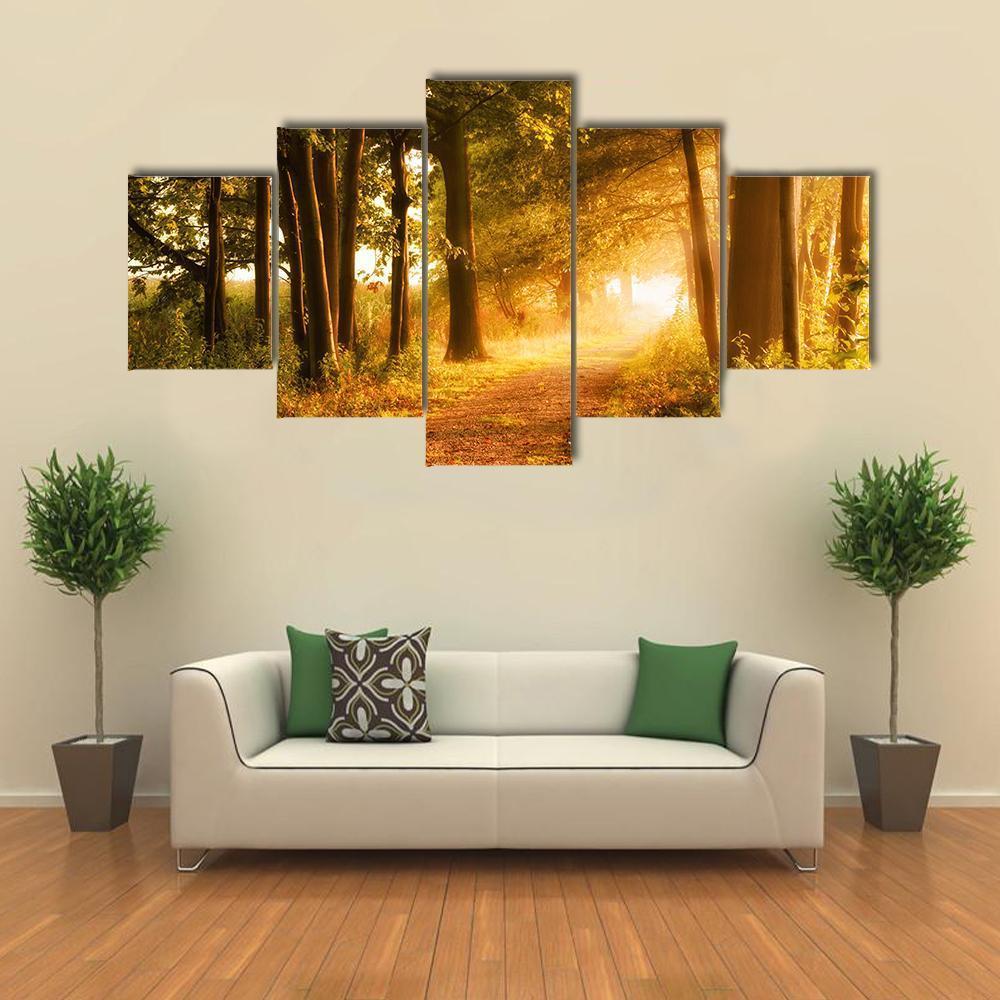 Misty Footpath In Forest Canvas Wall Art-5 Star-Gallery Wrap-62&quot; x 32&quot;-Tiaracle