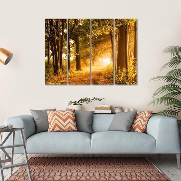 Misty Footpath In Forest Canvas Wall Art-4 Horizontal-Gallery Wrap-34" x 24"-Tiaracle