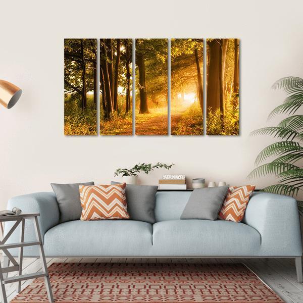 Misty Footpath In Forest Canvas Wall Art-5 Horizontal-Gallery Wrap-22" x 12"-Tiaracle