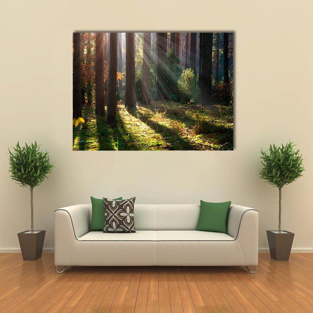 Sunlit Autumn Forest Canvas Wall Art in brown, yellow and green, single panel hung on a wall