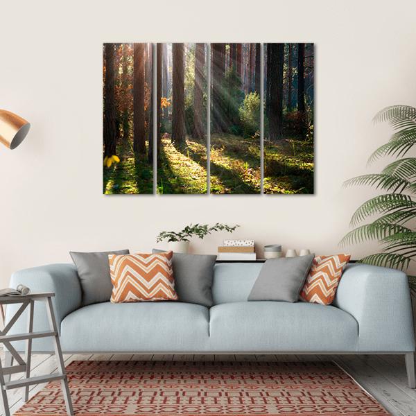Old Autumn Forest Canvas Wall Art-4 Horizontal-Gallery Wrap-34&quot; x 24&quot;-Tiaracle