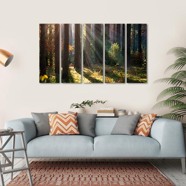 Old Autumn Forest Canvas Wall Art-5 Horizontal-Gallery Wrap-22" x 12"-Tiaracle