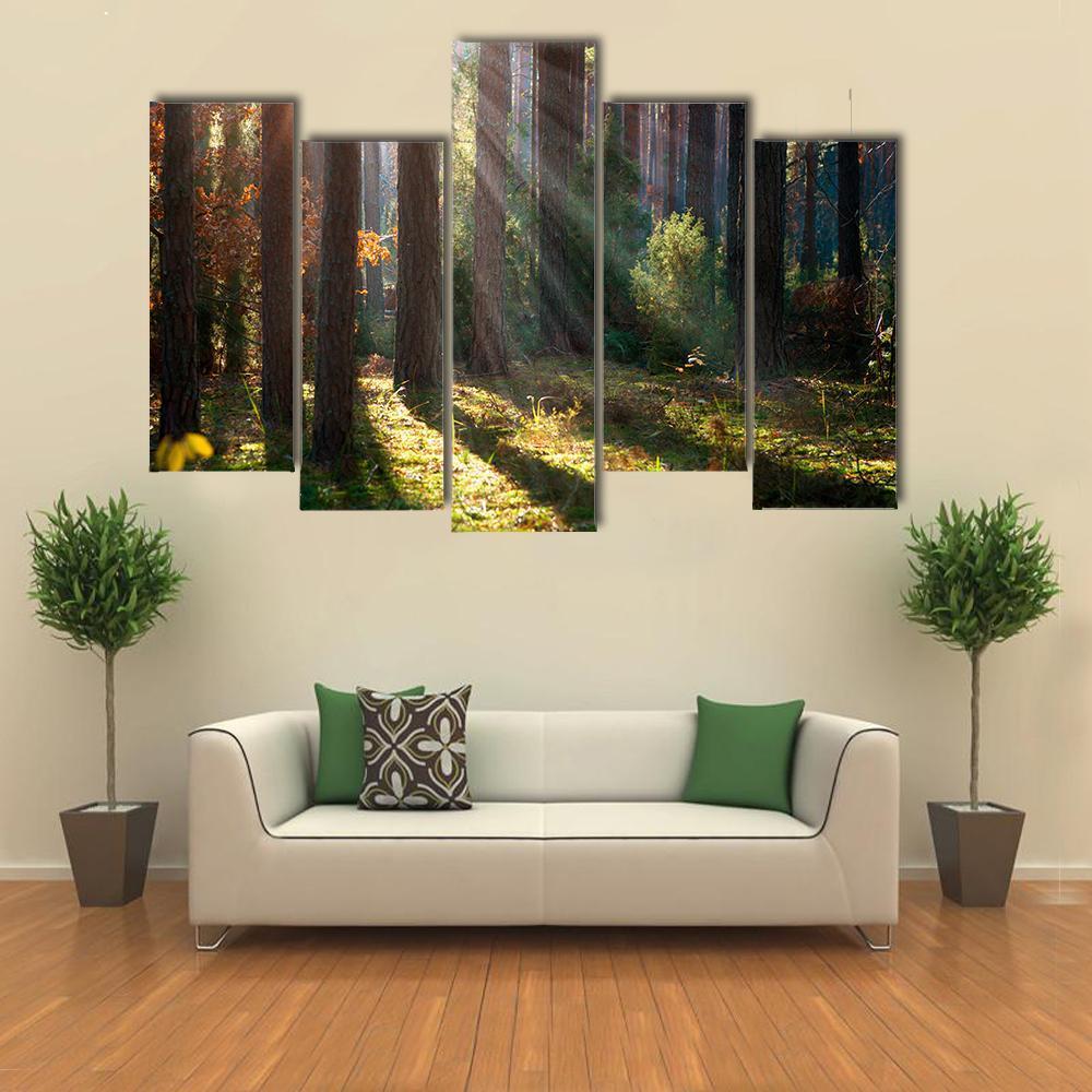 Old Autumn Forest Canvas Wall Art-5 Pop-Gallery Wrap-47&quot; x 32&quot;-Tiaracle