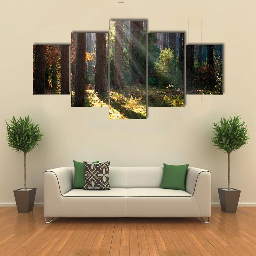 Old Autumn Forest Canvas Wall Art-5 Star-Gallery Wrap-62&quot; x 32&quot;-Tiaracle