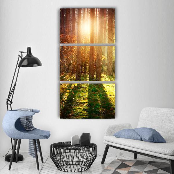 Misty Old Forest Autumn Vertical Canvas Wall Art-3 Vertical-Gallery Wrap-12" x 25"-Tiaracle