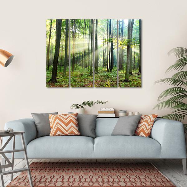 Morning In Forest Canvas Wall Art-4 Horizontal-Gallery Wrap-34&quot; x 24&quot;-Tiaracle