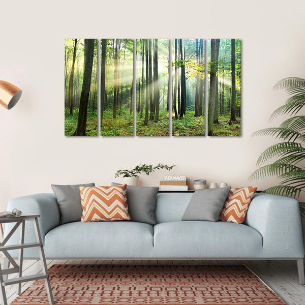 Morning In Forest Canvas Wall Art-5 Horizontal-Gallery Wrap-22&quot; x 12&quot;-Tiaracle