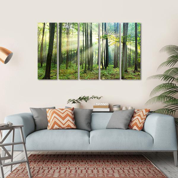 Morning In Forest Canvas Wall Art-5 Horizontal-Gallery Wrap-22" x 12"-Tiaracle