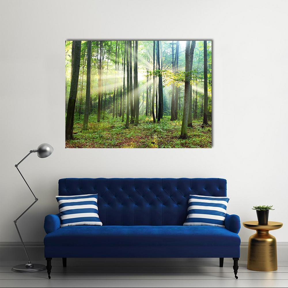 Morning Sunbeams in Forest Canvas Wall Art in brown, yellow and green, single panel hung on a wall