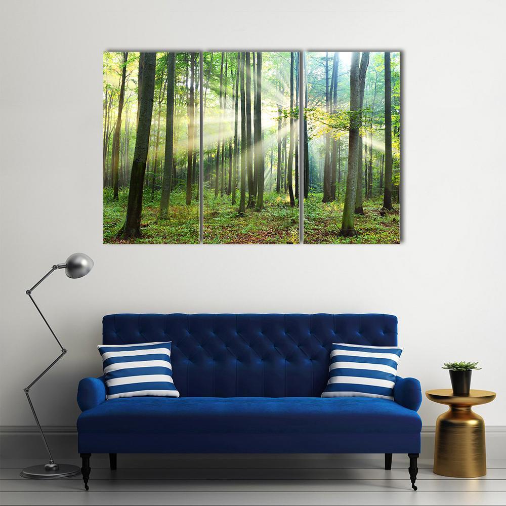 Morning In Forest Canvas Wall Art-4 Pop-Gallery Wrap-50" x 32"-Tiaracle