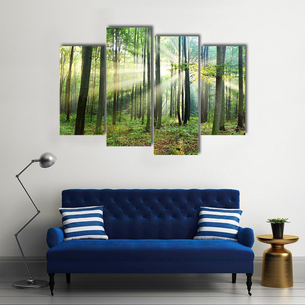 Morning In Forest Canvas Wall Art-4 Pop-Gallery Wrap-50&quot; x 32&quot;-Tiaracle