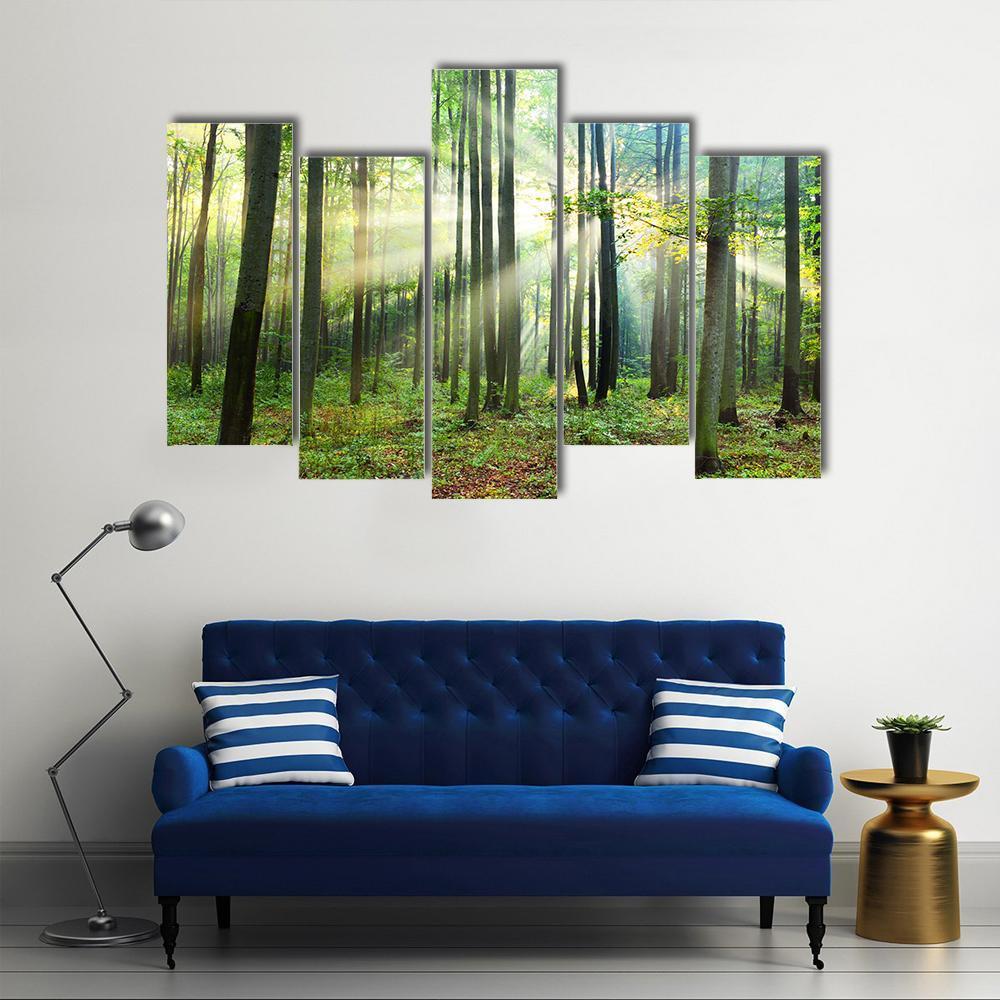 Morning In Forest Canvas Wall Art-5 Pop-Gallery Wrap-47" x 32"-Tiaracle