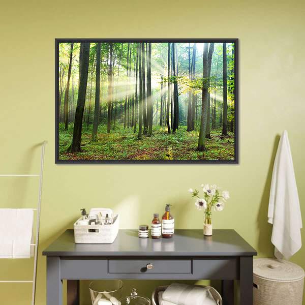 Morning Sunbeams in Forest Canvas Wall Art in brown, yellow and green, framed canvas, product view on a white background