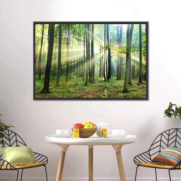 Morning In Forest Canvas Wall Art-3 Horizontal-Gallery Wrap-25" x 16"-Tiaracle
