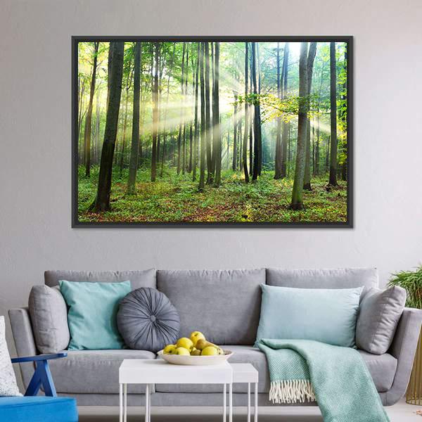 Morning In Forest Canvas Wall Art-3 Horizontal-Gallery Wrap-25" x 16"-Tiaracle