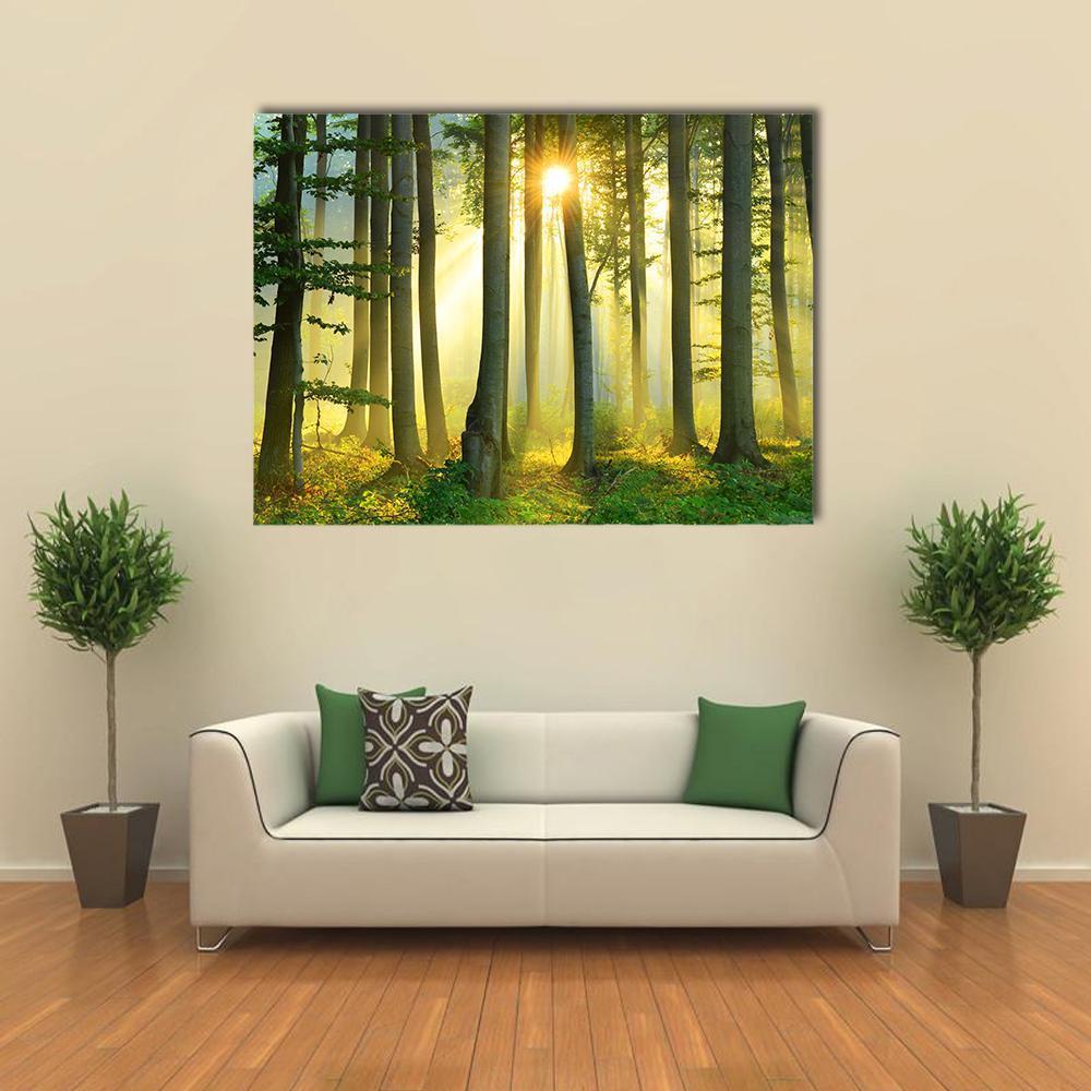 Misty Forest Morning Canvas Wall Art in brown, yellow and green, single panel hung on a wall