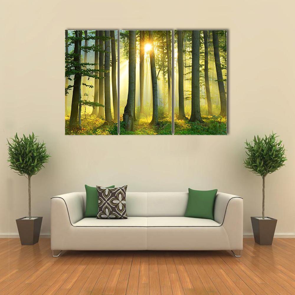 Forest Morning Canvas Wall Art-3 Horizontal-Gallery Wrap-37&quot; x 24&quot;-Tiaracle