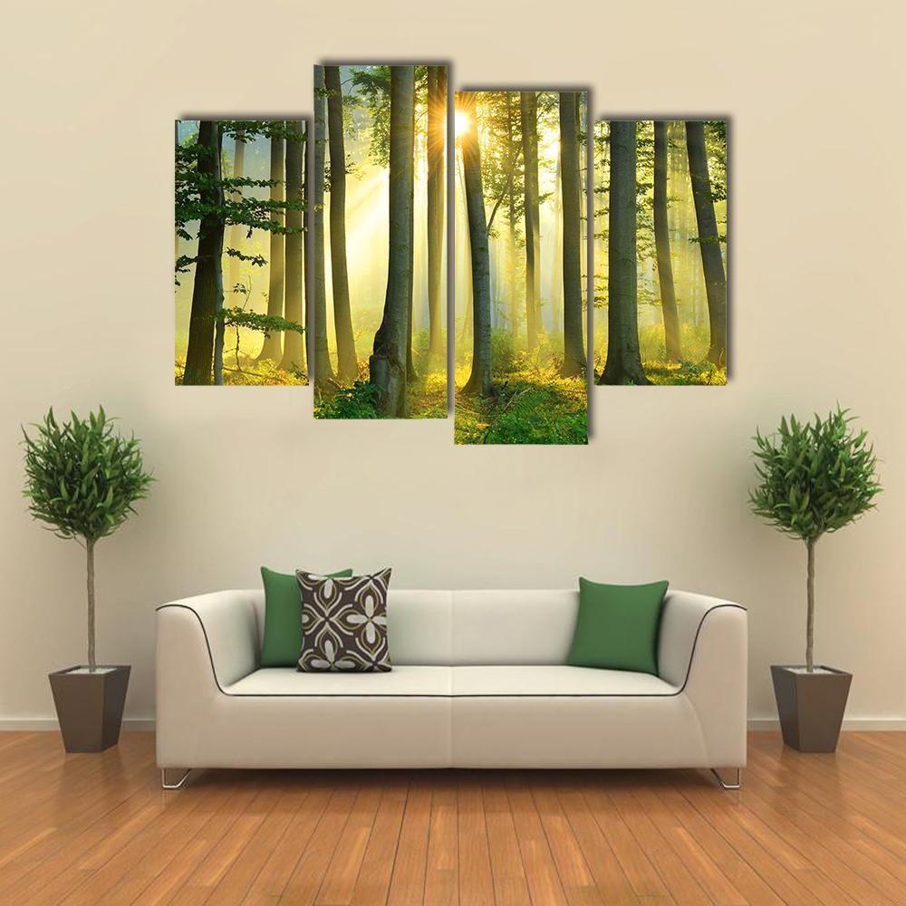 Forest Morning Canvas Wall Art-4 Pop-Gallery Wrap-50&quot; x 32&quot;-Tiaracle
