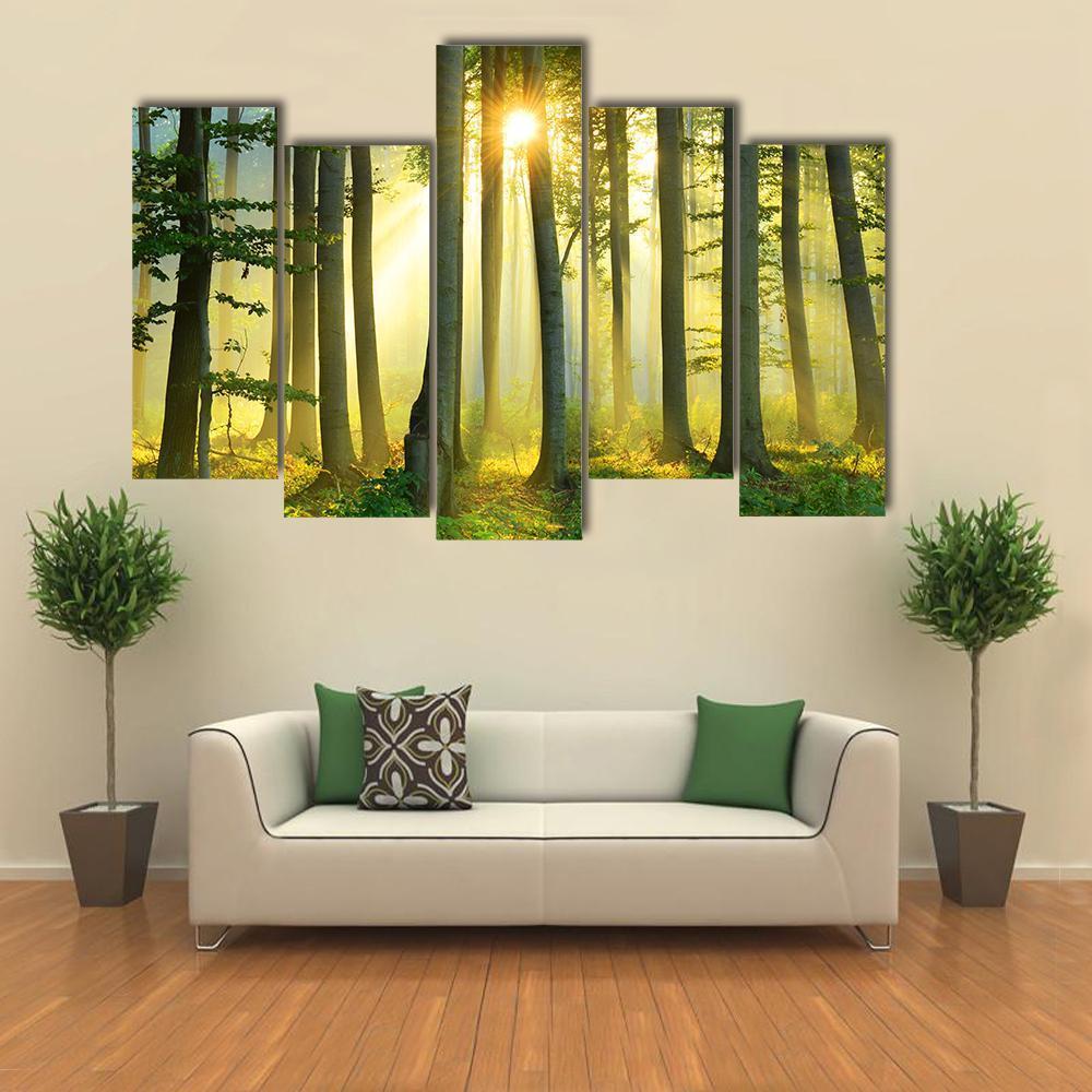 Forest Morning Canvas Wall Art-5 Pop-Gallery Wrap-47&quot; x 32&quot;-Tiaracle