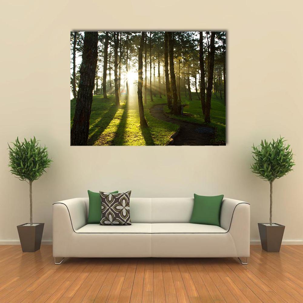 Morning Light in Pine Forest Canvas Wall Art in brown, yellow and green, single panel hung on a wall