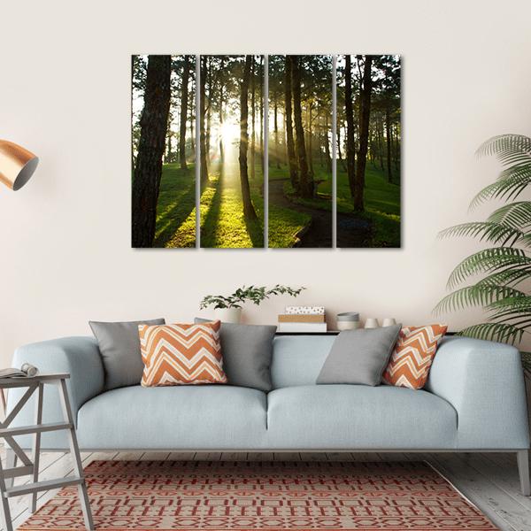 Morning In Pine Forest Canvas Wall Art-4 Horizontal-Gallery Wrap-34" x 24"-Tiaracle