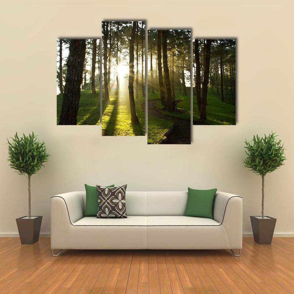 Morning In Pine Forest Canvas Wall Art-4 Pop-Gallery Wrap-50&quot; x 32&quot;-Tiaracle