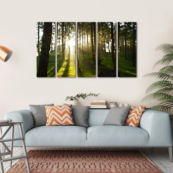 Morning In Pine Forest Canvas Wall Art-5 Horizontal-Gallery Wrap-22&quot; x 12&quot;-Tiaracle