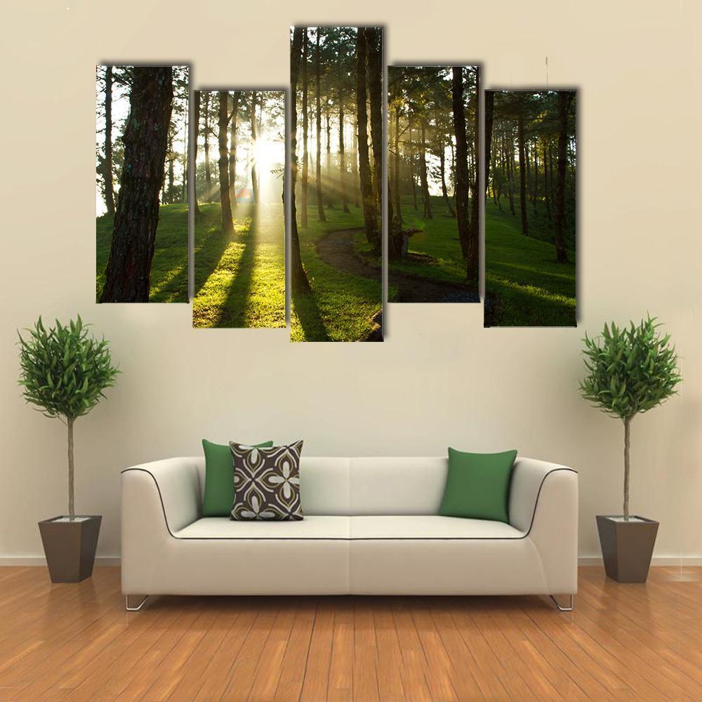 Morning In Pine Forest Canvas Wall Art-5 Pop-Gallery Wrap-47&quot; x 32&quot;-Tiaracle