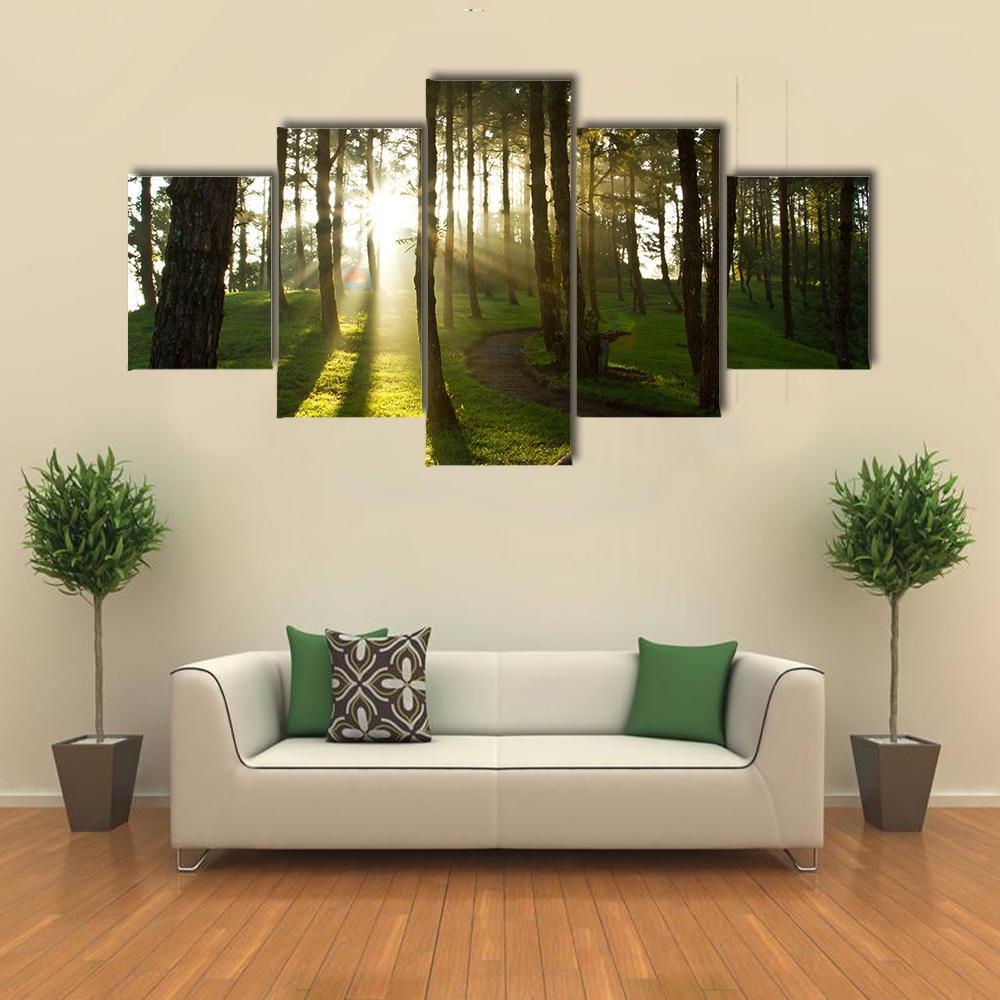 Morning In Pine Forest Canvas Wall Art-5 Star-Gallery Wrap-62&quot; x 32&quot;-Tiaracle