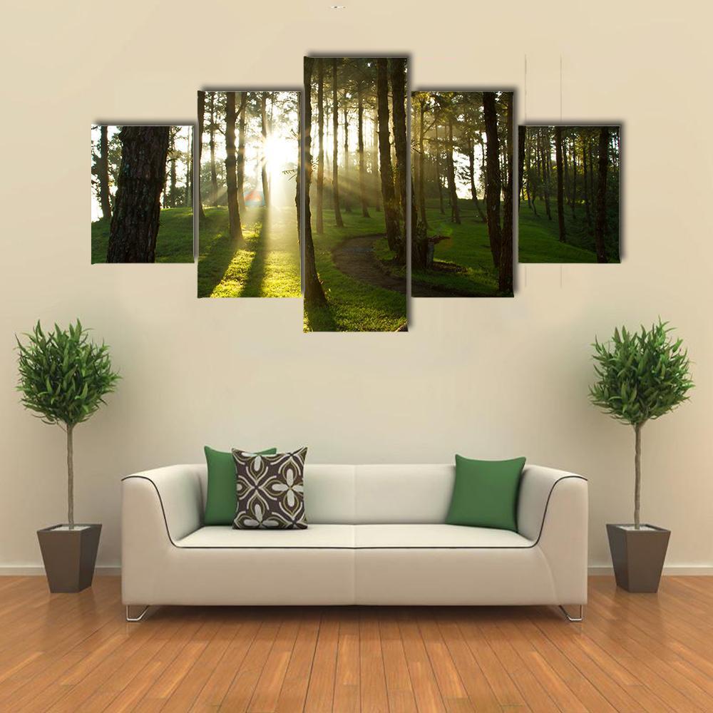 Morning In Pine Forest Canvas Wall Art-3 Horizontal-Gallery Wrap-37" x 24"-Tiaracle